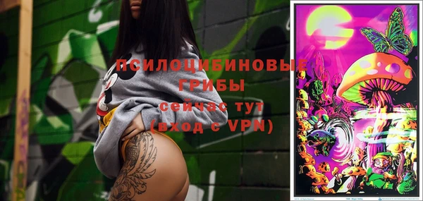 шишки Волоколамск