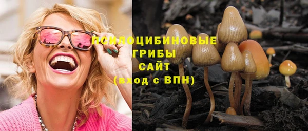 МДПВ Верея