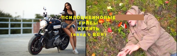 гашик Верхний Тагил